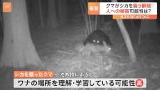 「すごいことを学習している」カメラが捉えたワナにかかったシカをクマが襲う瞬間… 遭遇したら襲われる可能性も