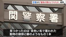 住宅花壇から「動物の頭のようなもの」 岐阜・関市、9日に隣市でシカの頭