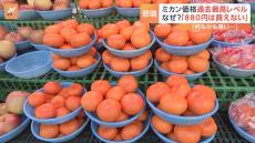 記録的高騰は野菜だけでなく…果物の価格が上昇　冬の風物詩ミカンが過去最高レベルに「買えない」 生産現場で一体何が？