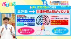 「呼吸」で自律神経をコントロール！箱根連覇の“青学陸上部”も実践『4・4・8呼吸法』をハーバードDr.が伝授【ひるおび】