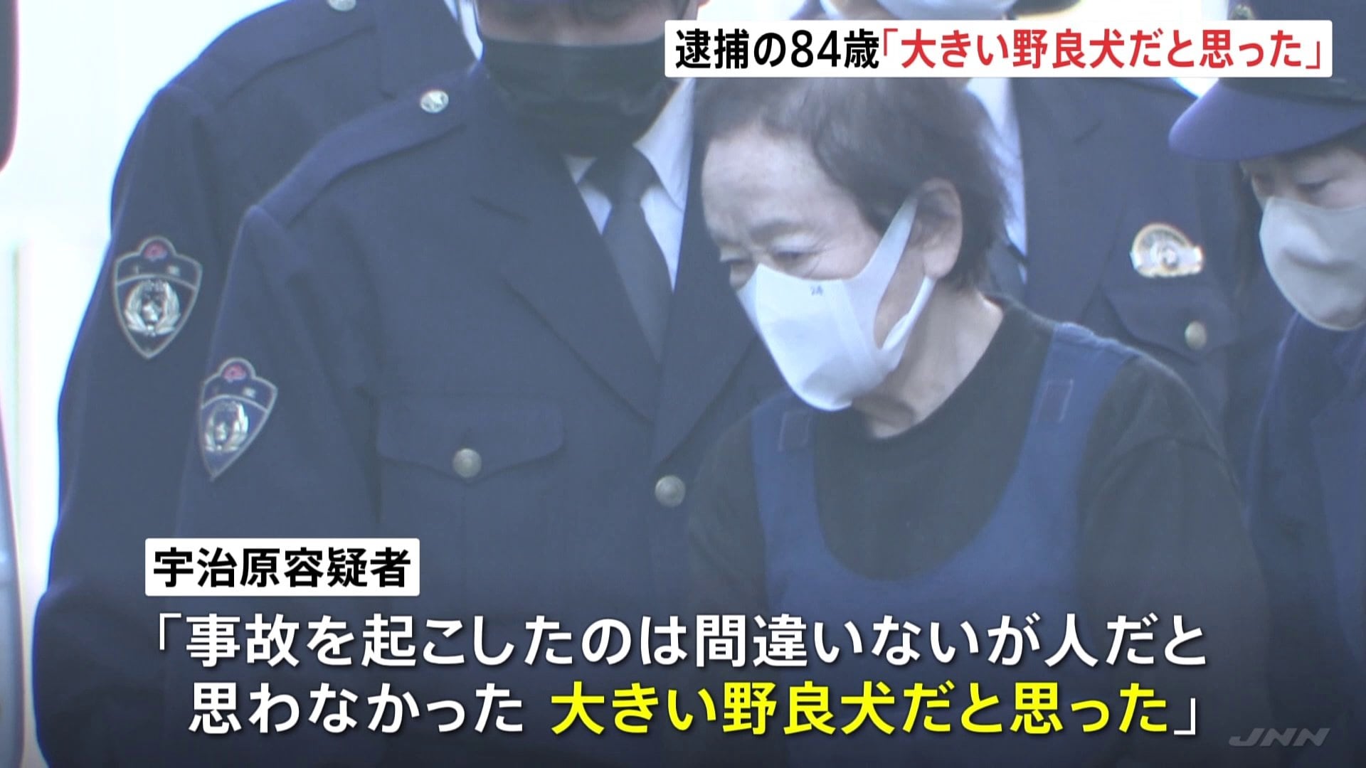 死亡ひき逃げ事件で逮捕の84歳「大きい野良犬だと思った」と容疑を一部否認　千葉・南房総市