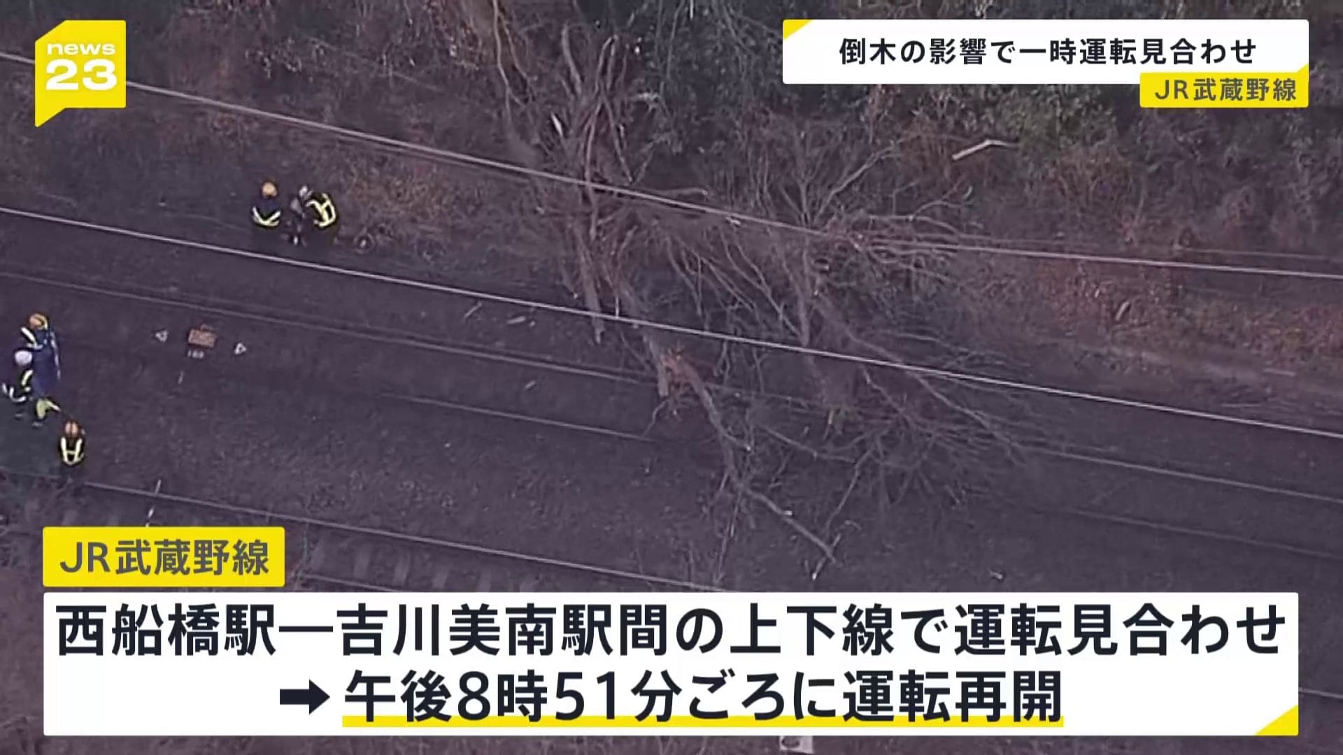 倒木でJR武蔵野線が一時運転見合わせ　午後8時51分ごろに運転再開　JR東日本