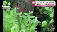 湯沢町でクマの目撃情報が相次ぐ　近くにはリゾートマンションが　警戒強まる 《新潟》