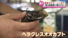 【夏休み】カブトムシにふれたり、“普段入れない場所”も…　子どもたちにとって特別な体験ができる場所《新潟》