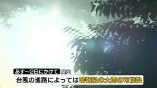 体温超えの暑さ　三条で３７.５℃観測　県内各地で「猛暑日」　３１日からは警報級大雨の可能性も　《新潟》　