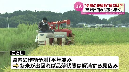 新潟米懇談会　コメの販売価格は上昇の見込み　コメ不足についてJAは「新米出回れば落ち着く」 《新潟》