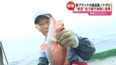 【特集】高級魚のノドグロ　新ブランド“美宝”を追う親子漁師に密着！　漁師が料理人につなぐ「宝のバトン」食卓に届くまで《新潟》