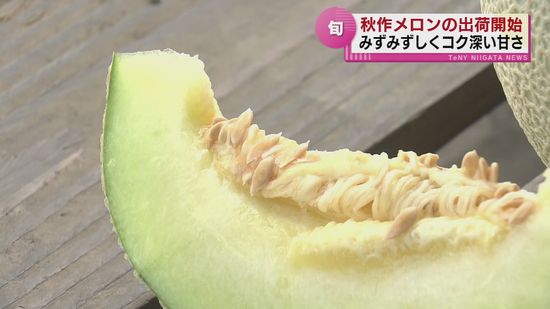 【秋の味覚】 みずみずしくコク深い甘さ「ソレーユメロン」に　 白い肌となめらかな食感の「帛乙女」各地で旬の食材を出荷 《新潟》