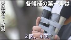 【衆院選】注目の選挙区　新潟2区と4区　三つどもえの戦い　各候補の第一声は　《新潟》