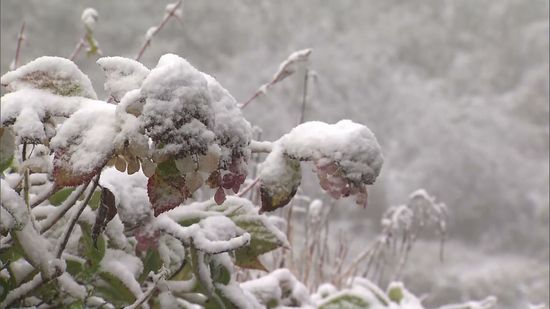 【立冬】各地で冷え込み山沿いで積雪も　温泉街は雪景色に　8日も気温が下がる見込み　体調管理に注意 《新潟》