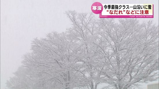 【寒波】今シーズン最強クラス　山沿いで雪…なだれなどに注意《新潟》