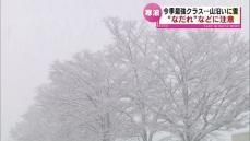 【寒波】今シーズン最強クラス　山沿いで雪…なだれなどに注意《新潟》