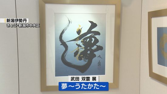 “新年の良いエネルギーを”書道家・武田双雲さんが個展【新潟】