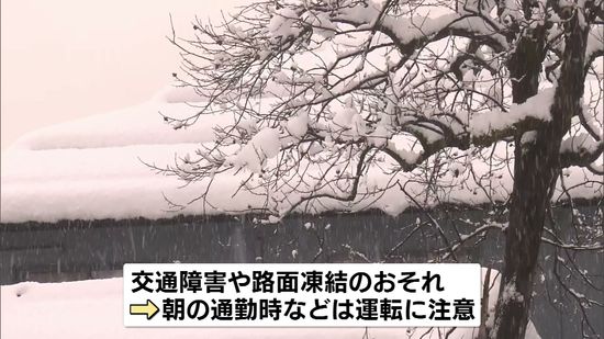 今季“最強寒波”　雪でスリップか…事故相次ぐ　住民も雪かきに困惑　10日は警報級の大雪か 《新潟》