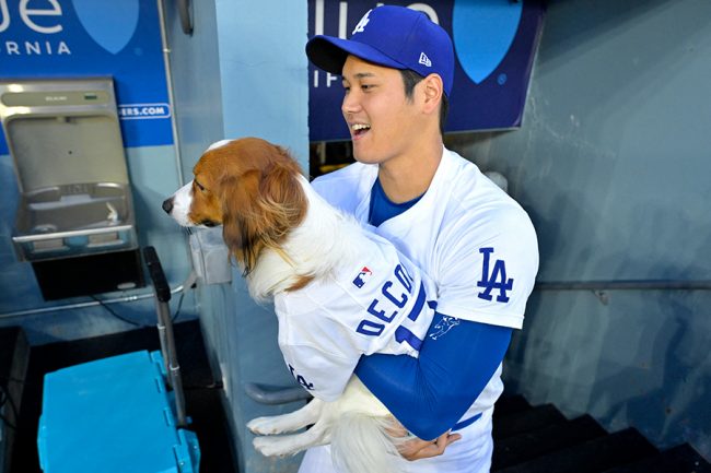 大谷愛犬デコピンを使った“サムネ詐欺”に日米笑撃＆困惑　動画を再生すると…「いない？」