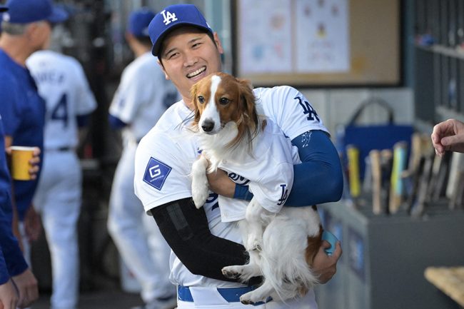 大谷翔平の試合中、打者の後ろに“デコピン”出現　発見した解説興奮「ほら！」「戦略的配置だ」