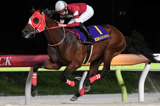 競馬場に現れた超大物俳優の「ビジュが完璧」　爽やか笑顔の黒スーツ姿で「空気浄化されてそう」