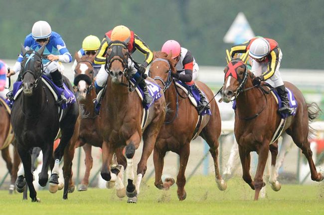 三冠牝馬を猛追した愛馬「勝てなかったけど褒めてあげたんだろうな…」　1通のメールに滲み出た調教助手の愛情【2012年秋華賞・アロマティコ】