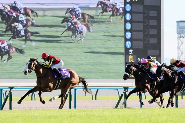 競馬G1、世代最強牝馬がほっこり行動「草」「優しい空間」　口取式、少女の前で広がった光景