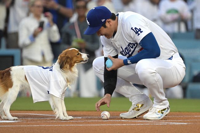 「クイーンの真美子に…」　大谷の愛犬デコピン名場面をMLB公式が異例の特集「主役の座を奪った」