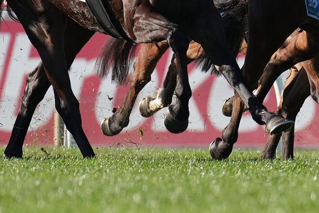 英競馬での“油断騎乗”の反響拡大　10馬身差逆転＆騎乗停止に「当然のこと」「差した騎手も素晴らしい」