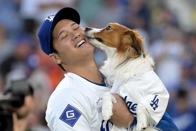 大谷のWS制覇でデコピンまさかのセンター　MLB公式の祝福画像にXメロメロ「粋なことするねぇ」