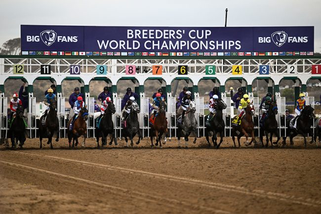 米競馬場で発見された日本の有名企業にX驚き　看板がズラリ並び「マジである！」「馬のゼッケンに…」