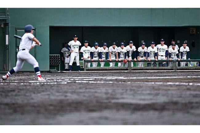 すき間なし…ベンチに連なる一つの塊　優勝した横浜と大接戦、東農大二に受け継がれる伝統の“形”