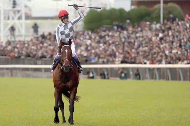 東京競馬場から見つけた“日本の象徴”に海外記者が虜　はるか彼方でも「今日は本当に見事だ」