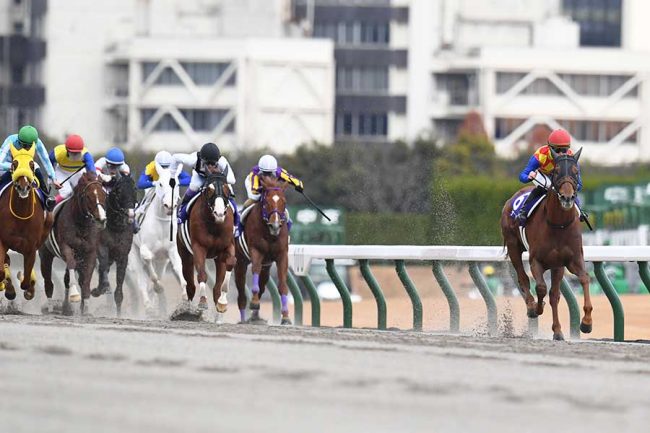 「この馬がダート界を席巻する」と謳われても4着　チャンピオンズC王道データに該当した強豪馬の“不思議”