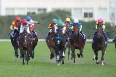 「日本人に感謝したい」　競馬ジャパンCを戦った海外馬主が感銘「温かいおもてなしに…」