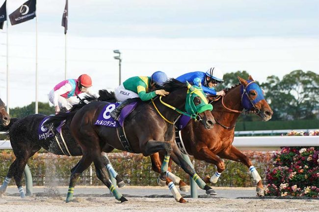 日本の競馬で「マジで危険」「命懸けだ」とファン衝撃　最後の直線、騎手は「前全然見えない」