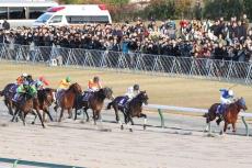 日本の競馬で「悲しい気分になるの初めて…」　G1有力馬が抑えられた世界の技術にファン称賛