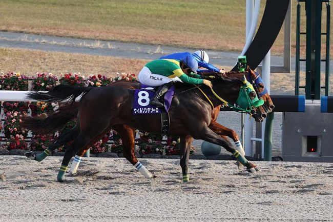 日本の競馬変えた騎手カメラ、名場面続出の“生みの親”にファン感謝「見たかったものが見れた」