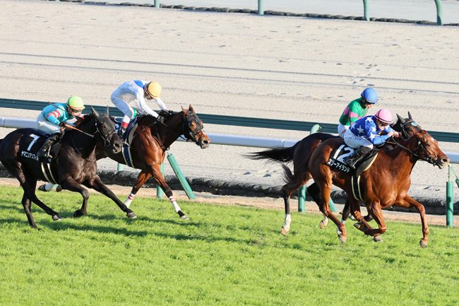 149cm女性騎手との仰天身長差「これだけ差が出るのか」　競馬場に現れた40歳俳優は「遠目でも…」