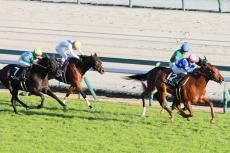 149cm女性騎手との仰天身長差「これだけ差が出るのか」　競馬場に現れた40歳俳優は「遠目でも…」