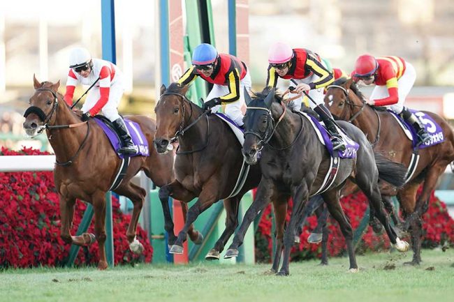 G1有馬記念後に生まれた「めでたい」光景にネット驚き「ここまで揃うとは」　6人の衣装に熱視線