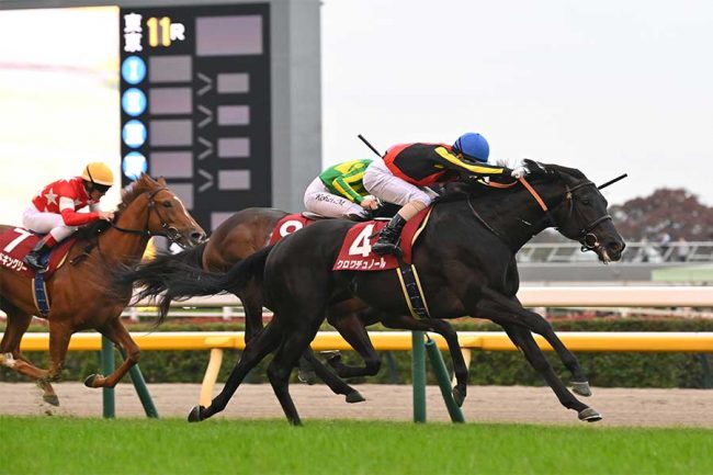 ホープフルS枠順の明暗に競馬ファン悲鳴「大外ォ！？？！」　2戦2勝クロワデュノールは内枠6番、一方…