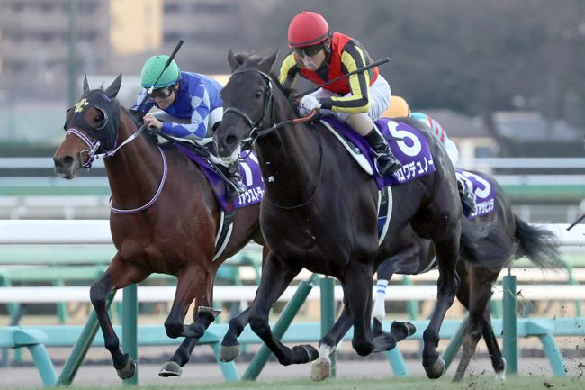 怪物クロワデュノール圧勝、師走の中山に走った衝撃にファン「三冠馬だろこんなん」「3着誰ですか？」