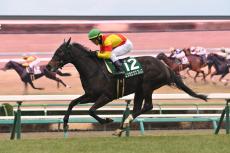 阪神JF馬より「強い気がしてきた」　3歳牝馬の超新星に競馬ファン驚き、安藤勝己も「桜花賞馬候補」