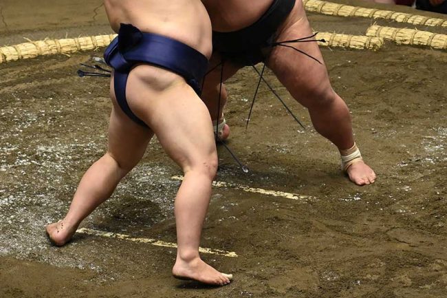 大相撲中継で「美人がいるな…」と話題　夫婦で観戦した34歳大物が報告「また観に行きたい！」