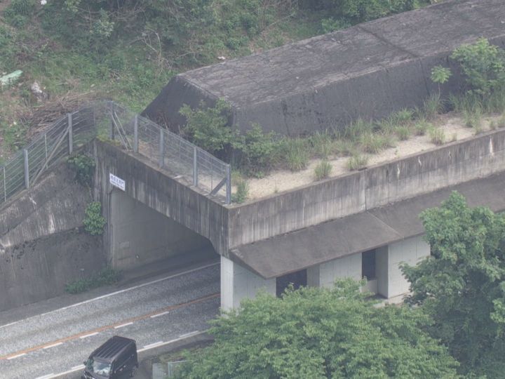 “洞門”内で事故…国道で軽乗用車と乗用車が正面衝突 双方の男女計4人を搬送 片側1車線の緩やかなカーブ