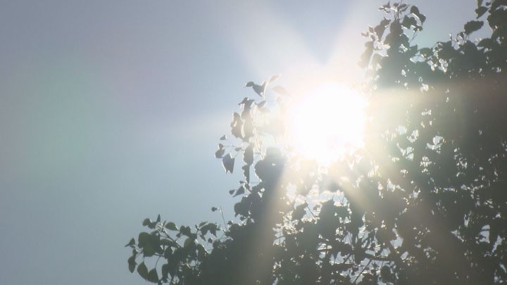 名古屋と岐阜で最高気温“38度”予想…東海3県は体温を超える危険な暑さの所も 熱中症警戒アラートが3県に