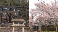 拝殿で電気がショートし出火か…住民の心の拠り所だった神社の本殿等が全焼 思わぬ“電気火災”を防ぐには