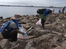 国内有数の渡り鳥中継地…藤前干潟でごみ拾いをしながら環境保全考えるイベント マイクロプラスチックも課題に