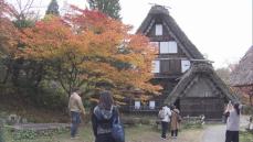 例年より10日程遅く色付き始める…岐阜県高山市『飛騨の里』で紅葉が見頃 モミジやカエデなどが鮮やかに