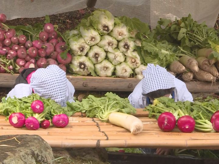 約8度の冷たい水で野菜洗う…観光施設「飛騨の里」で昔ながらの冬支度を実演 漬け物が厳しい冬の保存食に