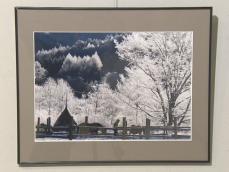 雪化粧の木々を捉えたものなど…東海3県の民放OBが撮影した写真を集めた作品展 人や風景など36点を展示