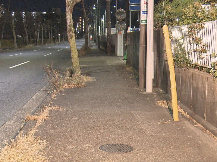 勤務先から帰宅途中に「金を出せ」路上で女性が棒状の物持った男に鞄奪われる 転倒し後頭部を打撲するケガ