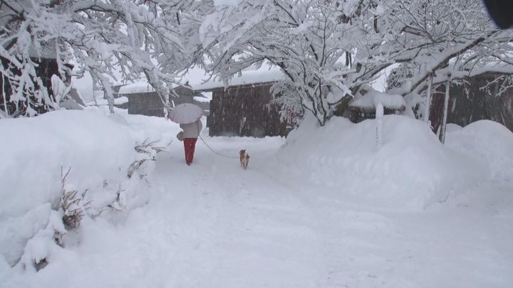 高速道路は通行止め区間も…岐阜県では10日にかけ大雪のおそれ 8日午前11時時点で白川村は積雪125cm